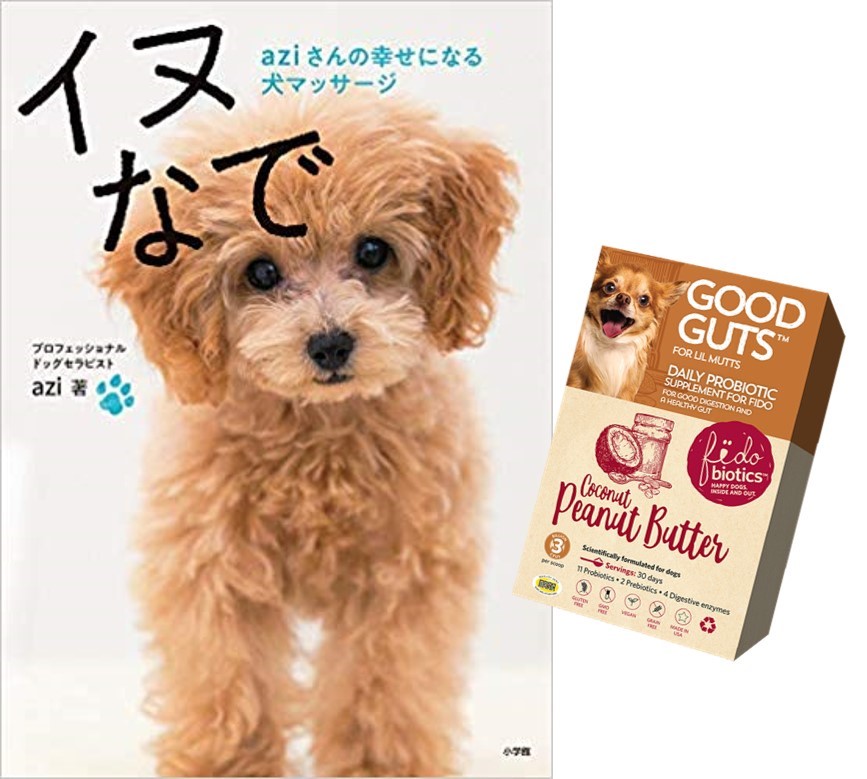 「イヌなで」本＋腸活スターター小型犬用